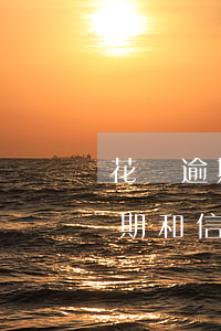 花唄逾期和信用卡逾期哪個利息高-花唄逾期和信用卡逾期哪個利息高些