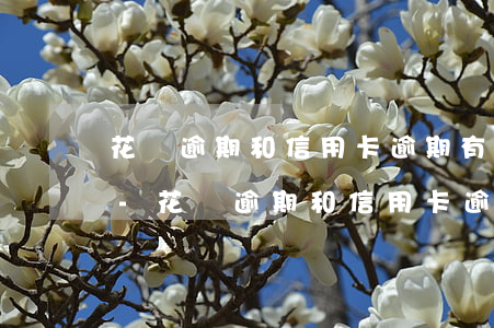 花唄逾期和信用卡逾期有什么區(qū)別-花唄逾期和信用卡逾期有什么區(qū)別嗎