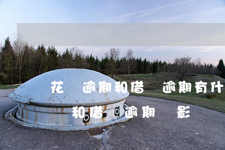 花唄逾期和借唄逾期有什么不一樣-螞蟻花唄和借唄逾期會影響個人征信嗎