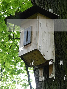 花唄逾期和延期有什么區(qū)別,會(huì)有什么影響-花唄逾期和延期有什么區(qū)別,會(huì)有什么影響嗎