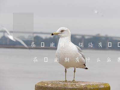 花唄逾期和征信有問題沒(花唄逾期上征信嗎?花唄逾期有什么后果 新聞)