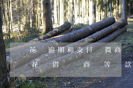 花唄逾期和支付寶微商貸逾期-支付寶存在花唄借唄網商貸等貸款逾期