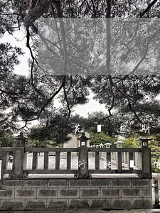 花唄逾期哪行能辦信用卡-花唄逾期哪個銀行能辦信用卡