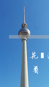 花唄逾期哪里可以查看(花唄逾期哪里可以查看)