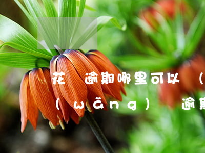 花唄逾期哪里可以網(wǎng)貸(其它網(wǎng)貸逾期會(huì)不會(huì)影響支付寶花唄的使用)