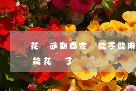 花唄逾期商家碼能不能用(為啥商家碼突然不能花唄了)