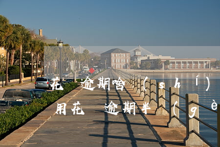 花唄逾期啥時(shí)候能繼續(xù)用(花唄逾期半個(gè)多月了還清了什么時(shí)候能使用)