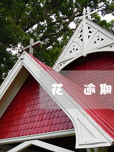 花唄逾期啥時候可以用