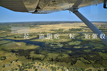 花唄逾期啥時候開始催收(花唄多久催款)