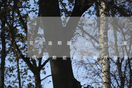 花唄逾期嚴(yán)重可以辦信用卡嗎(花唄逾期能不能辦理信用卡)
