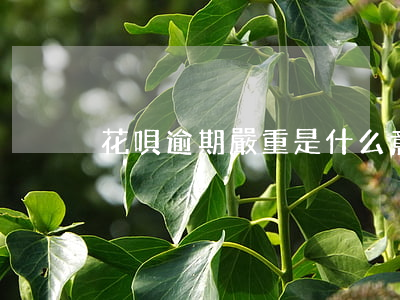 花唄逾期嚴重是什么意思