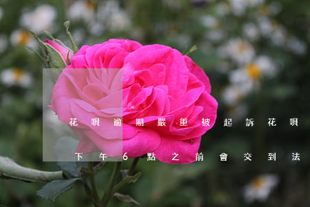 花唄逾期嚴重被起訴 花唄逾期嚴重被起訴說下午6點之前會交到法院