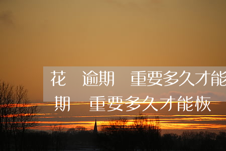 花唄逾期嚴重要多久才能恢復信用-花唄逾期嚴重要多久才能恢復信用記錄