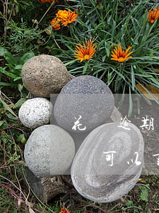 花唄逾期四個(gè)月,什么時(shí)間可以重新使用（花唄逾期四個(gè)月）