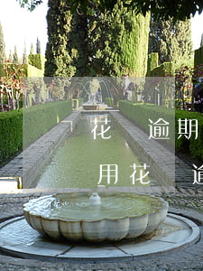 花唄逾期四個(gè)月會(huì)怎么用(花唄逾期3個(gè)月還款后多久才能使用花唄)