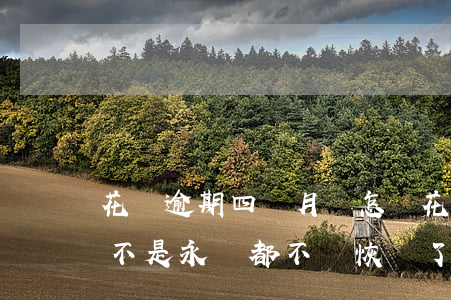 花唄逾期四個月會怎樣(花唄逾期3個多月是不是永遠都不會恢復了)