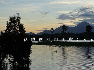 花唄逾期四十會(huì)怎么樣