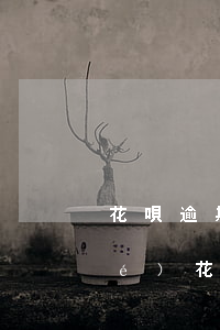 花唄逾期四天已經(jīng)凍結(jié)(花唄逾期了,現(xiàn)在還了, 顯示異常凍結(jié)了)