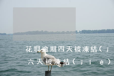 花唄逾期四天被凍結(jié)了(花唄逾期六天,被凍結(jié)了,什么時候能恢復(fù))