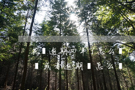花唄逾期四年了怎么協(xié)商(花唄不還或者逾期會怎么樣)