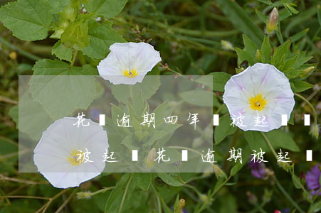 花唄逾期四年會被起訴嗎-花唄逾期多久會被起訴?花唄逾期被起訴
