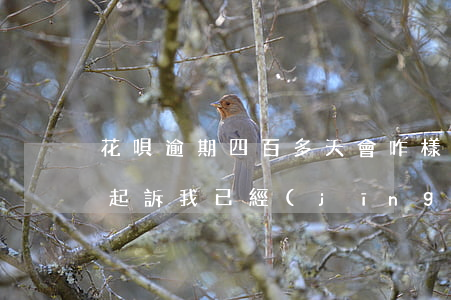 花唄逾期四百多天會咋樣(花唄逾期多少天會起訴,我已經(jīng)還了200多)