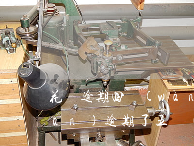 花唄逾期四萬(wàn)一年(花唄四萬(wàn)逾期了五個(gè)月會(huì)有什么后果月)