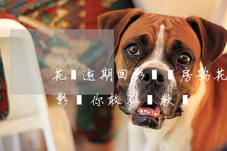 花唄逾期回影響買房嘛(花唄逾期還款有什么影響?你敢不還款嗎)