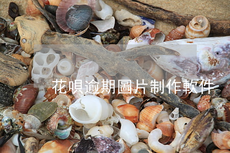 花唄逾期圖片制作軟件
