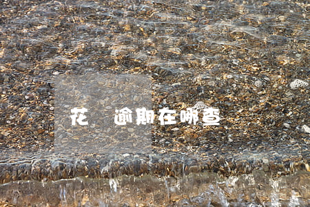 花唄逾期在哪查