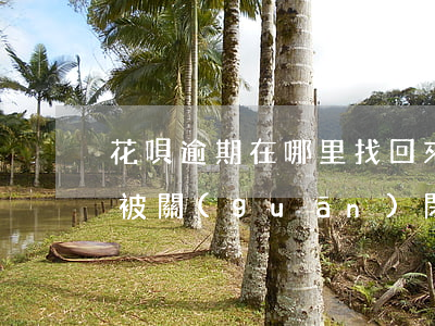 花唄逾期在哪里找回來(lái)(花唄逾期被關(guān)閉,錢還沒還完怎么辦)