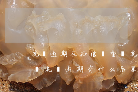 花唄逾期在征信嚴重嗎(花唄逾期半年上征信嗎?花唄逾期有什么后果)