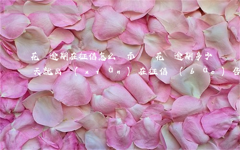 花唄逾期在征信怎么顯示(螞蟻花唄逾期多少天就出現(xiàn)在征信報(bào)告中)