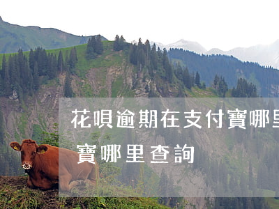 花唄逾期在支付寶哪里查-花唄逾期在支付寶哪里查詢