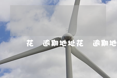 花唄逾期地址 花唄逾期地址