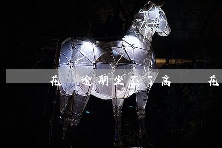 花唄逾期坐不了高鐵嗎(花唄不還能坐高鐵嗎)