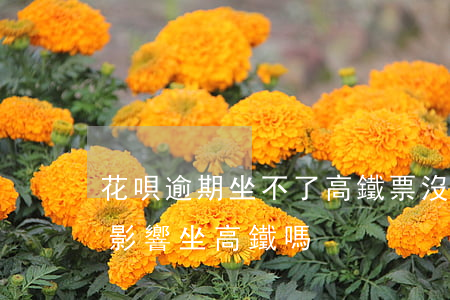 花唄逾期坐不了高鐵票(沒(méi)還花唄影響坐高鐵嗎)