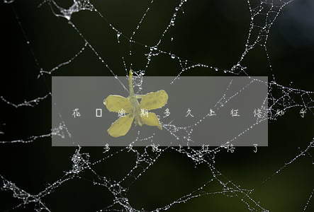 花唄逾期多久上征信知乎(花唄超過(guò)多久就上征信了)