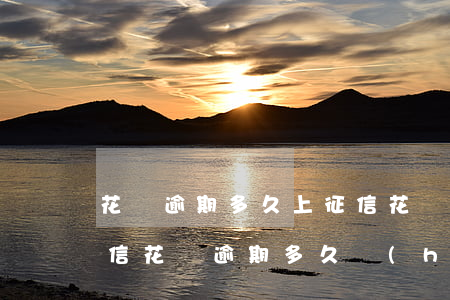 花唄逾期多久上征信 花唄逾期幾天上征信（微信花唄逾期多久會(huì)上征信）