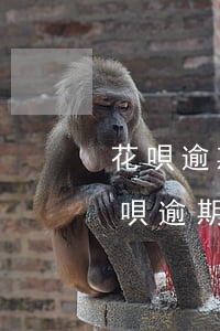 花唄逾期多久上征信?花唄逾期幾天上征信（花唄 逾期一周）