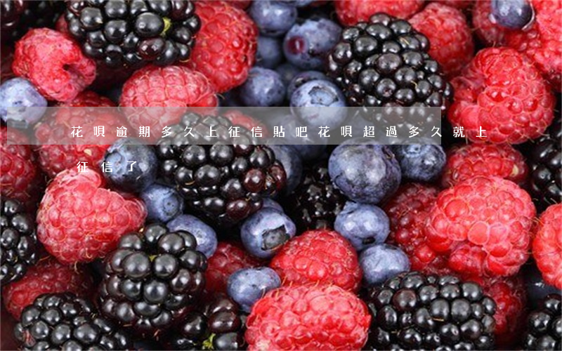 花唄逾期多久上征信貼吧(花唄超過多久就上征信了)
