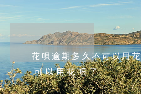花唄逾期多久不可以用(花唄逾期還完了,多久可以用花唄了)
