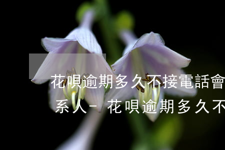 花唄逾期多久不接電話會打聯(lián)系人-花唄逾期多久不接電話會打聯(lián)系人電話