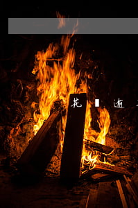 花唄逾期多久不會用(花唄逾期多久不會用)