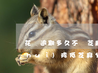 花唄逾期多久不減芝麻分(花唄多久不還會(huì)降低芝麻分)