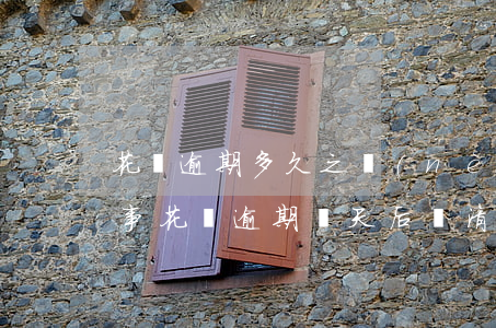 花唄逾期多久之內(nèi)沒(méi)事(花唄逾期幾天后還清了是不是就沒(méi)事了)