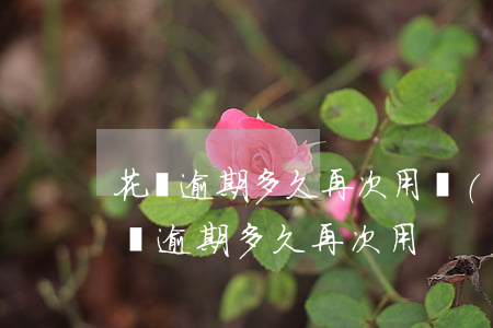 花唄逾期多久再次用會(huì)上征信（花唄逾期多久再次用）
