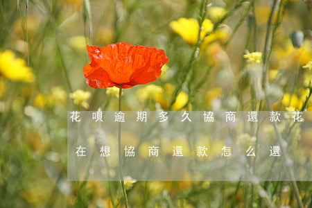 花唄逾期多久協商還款(花唄逾期時間長了現在想協商還款怎么還)