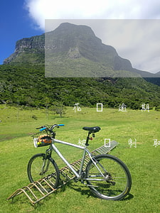 花唄逾期多久取消分期(螞蟻花唄逾期多久會被強制取消分期還款)