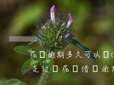 花唄逾期多久可以協(xié)商分期還款(支付寶花唄借唄逾期可以協(xié)商分期嗎)